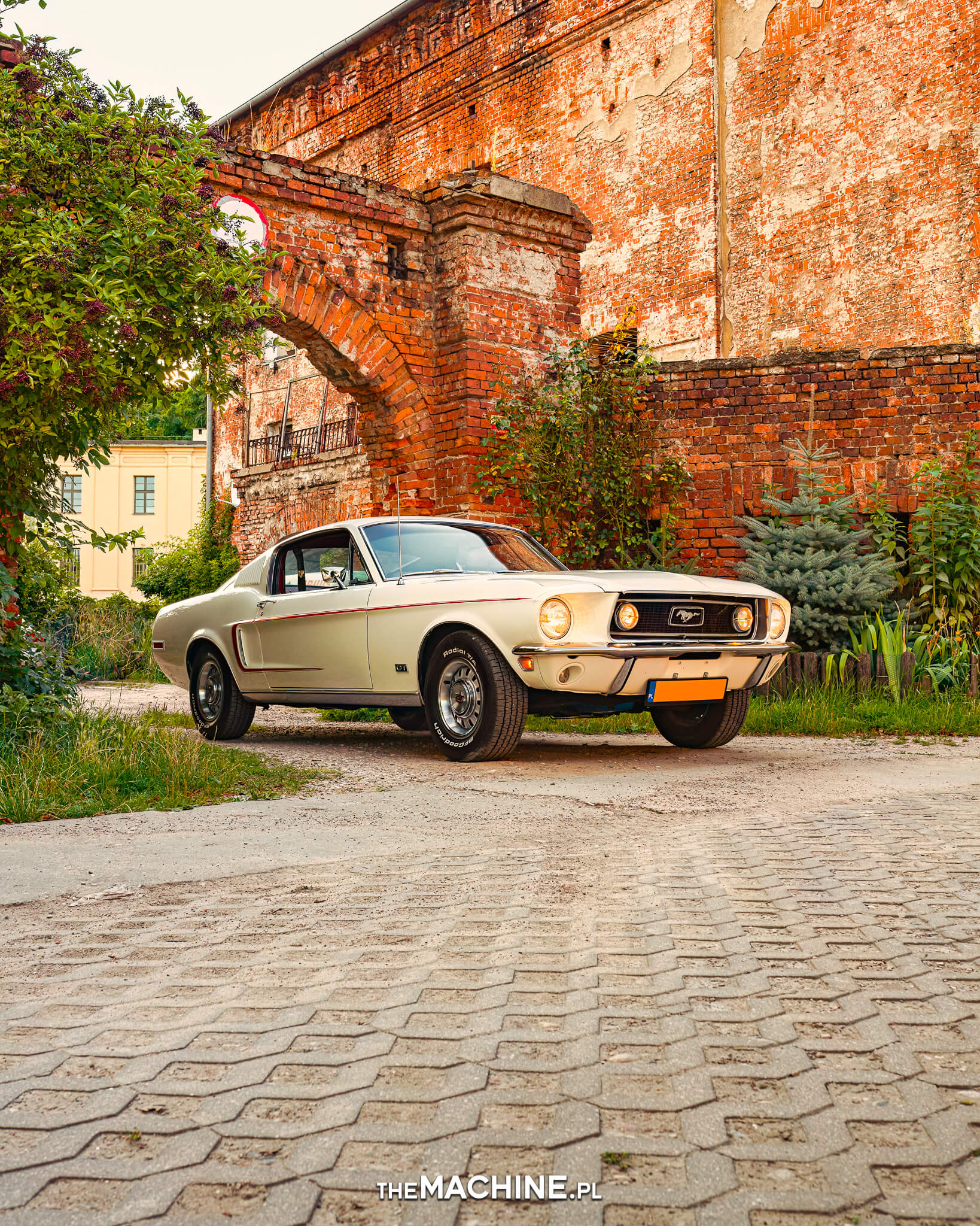 FORD MUSTANG GT 68 TheMachine.pl 2
