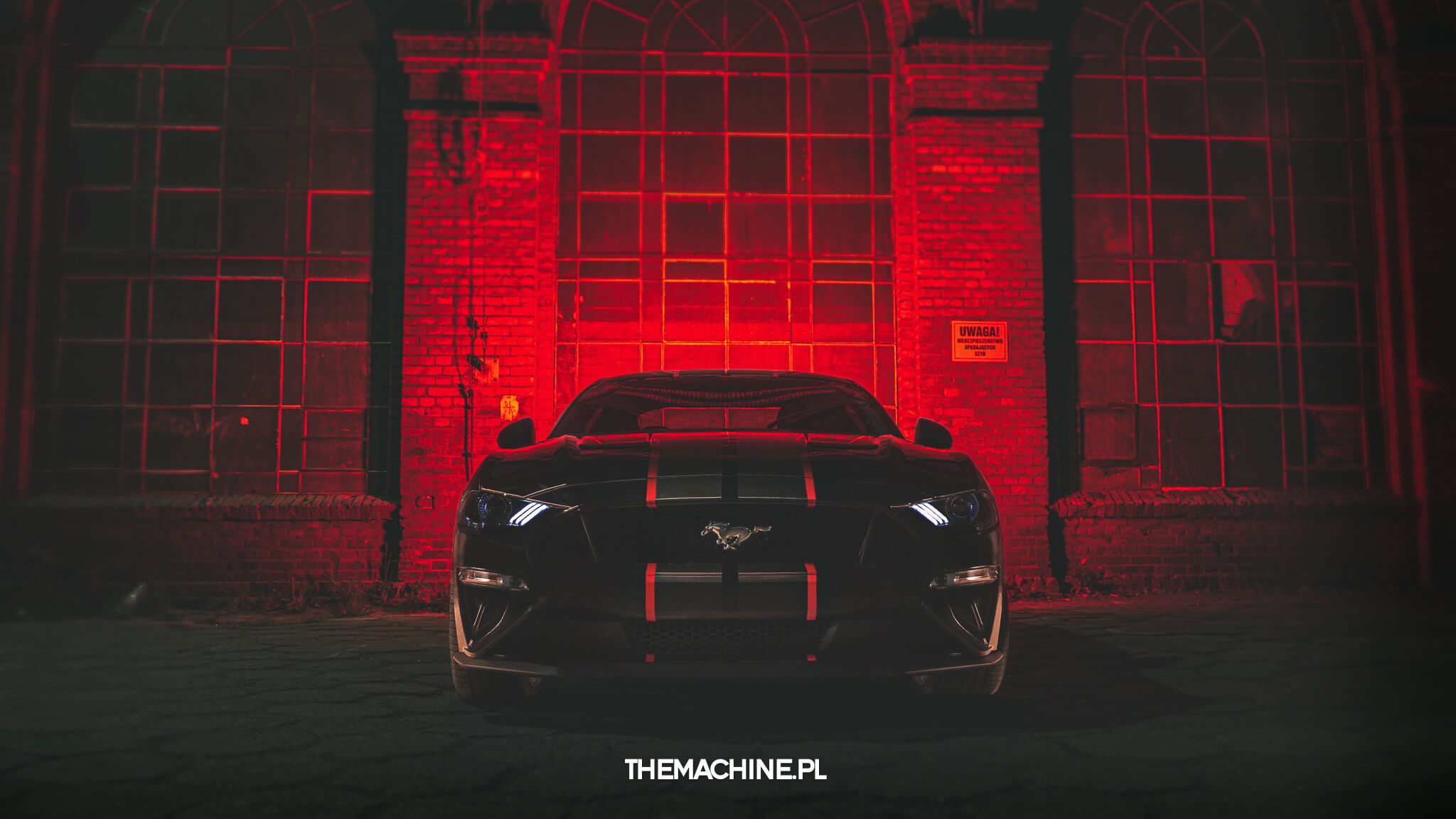 Ford MUSTANG GT by TheMachine.pl 1